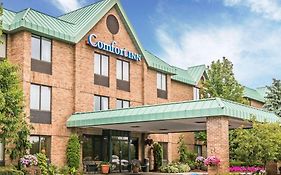 Comfort Inn Utica Michigan